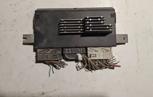 BMW 5 E39 Light module LCM 8372116 086828050 015120