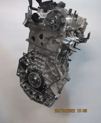 Skoda Rapid (120G, 130G, 135G) Engine 