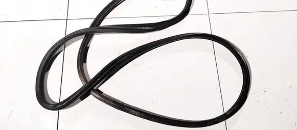 Mitsubishi Lancer X Rubber seal front coupe door 