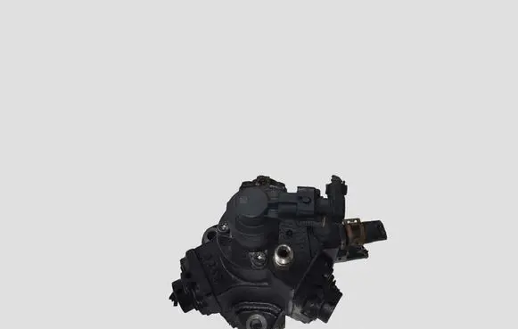 Opel Insignia A Fuel injection high pressure pump 0445010193 55571005