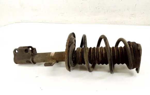 Renault Zoe Front shock absorber/damper 543028406R