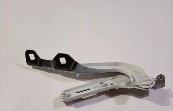 Chrysler Pacifica Engine bonnet/hood hinges VL091