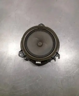 Front door speaker