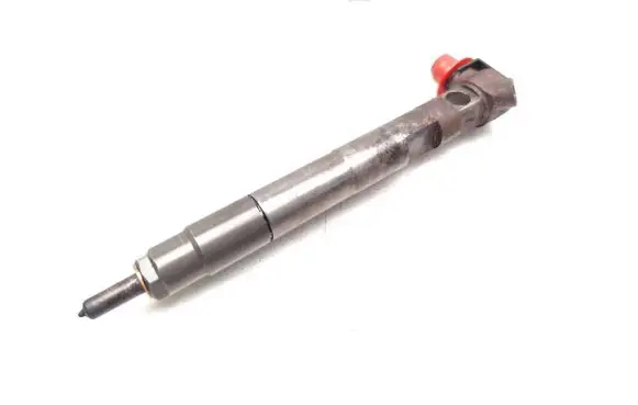 Mercedes-Benz Sprinter W906 Fuel injector 28342997 A6510704987