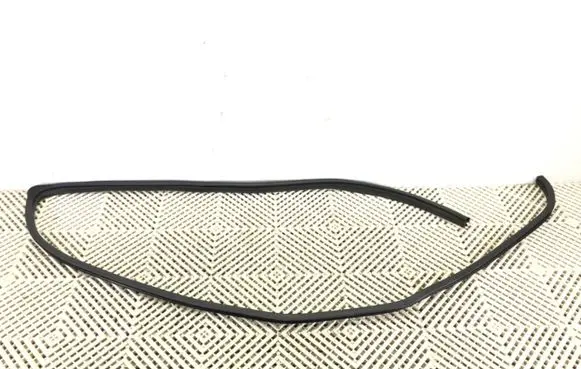 Honda Odyssey Rubber seal front door (on door) 