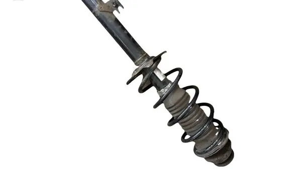 Peugeot 107 Front shock absorber with coil spring 486820H010