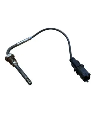 Exhaust gas temperature sensor