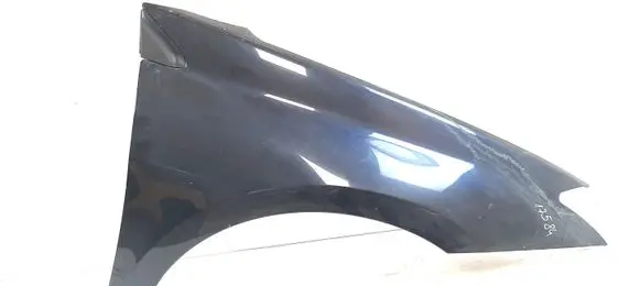 Renault Laguna III Fender