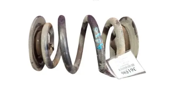 Rear coil spring