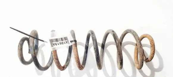 Rear coil spring