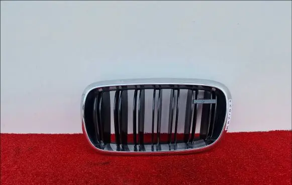 BMW X6 F16 Front grill 50700448L