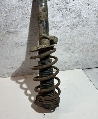Volkswagen PASSAT B6 Front shock absorber/damper
