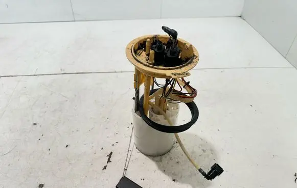 Volkswagen Tiguan In-tank fuel pump 5N0919088