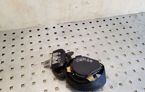 Volkswagen Touran I Roof seat belt 5425588