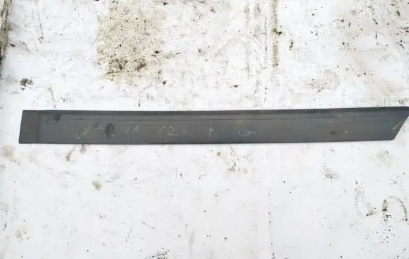 Rear door trim (molding)