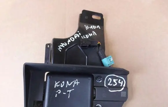Hyundai Kona I Blind spot module 95821J9000