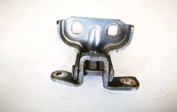 Rear door lower hinge
