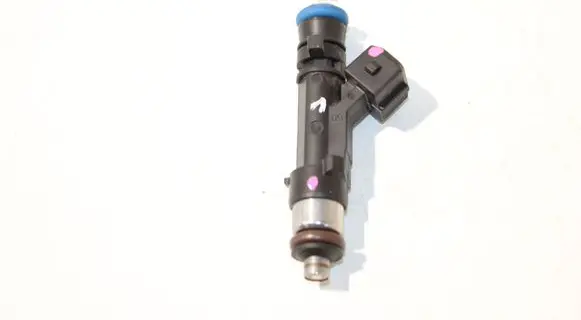 Chevrolet Volt I Fuel injector 0280158240