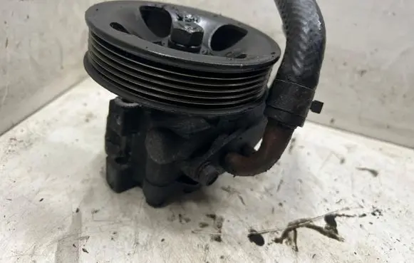 Hyundai Santa Fe Power steering pump 5710020200