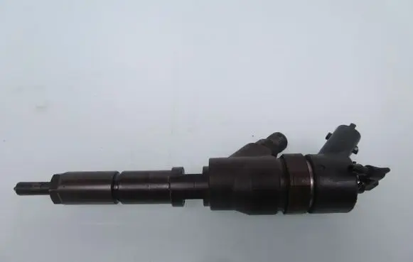 Peugeot 406 Fuel injector 9640088780