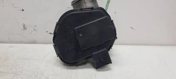 Throttle body valve