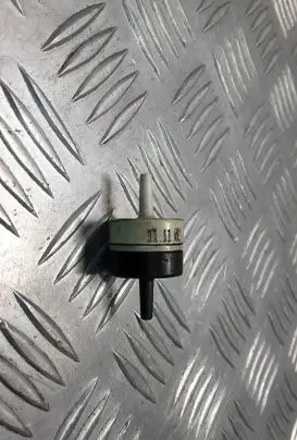 Vacuum valve