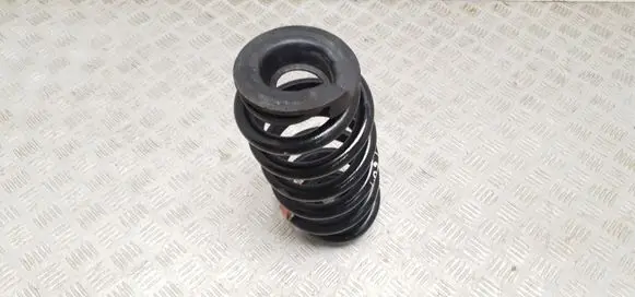 Rear coil spring