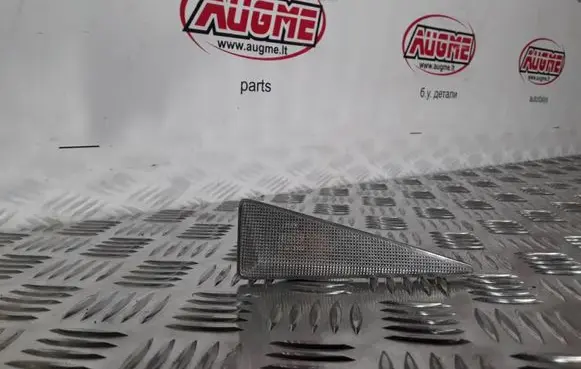 Front fender indicator light