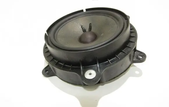 Rear door speaker