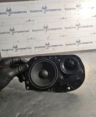 Panel speaker