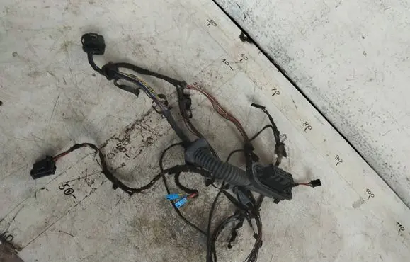 BMW X6 E71 Front door wiring loom 9203113