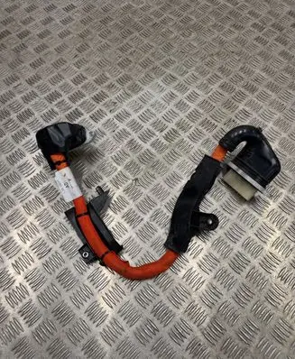 Ford Mustang Mach-E Other wiring loom LJ9814B245AD