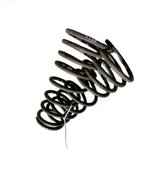 Rear coil spring