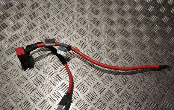 BMW 2 F22 F23 Positive cable (battery) 923001704