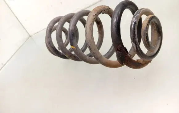 Rear coil spring