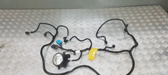Citroen DS5 Parking sensor (PDC) wiring loom 2007336