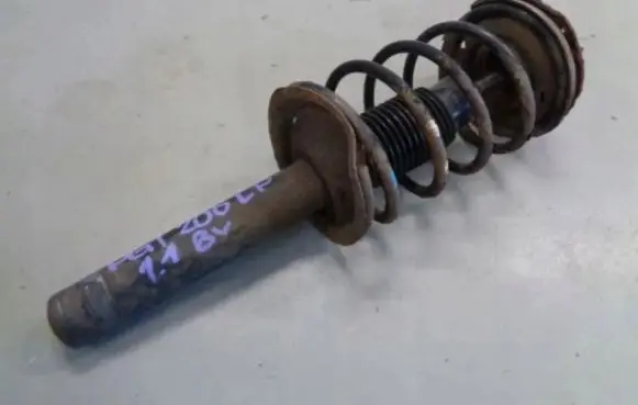 Peugeot 206 Front shock absorber with coil spring