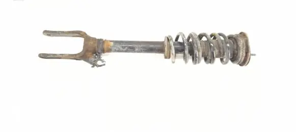 Mercedes-Benz R W251 Front shock absorber/damper 2513200730 1643210104