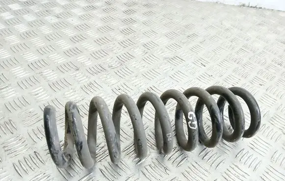 Rear coil spring