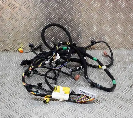 Tesla Model 3 Other wiring loom 148906005C