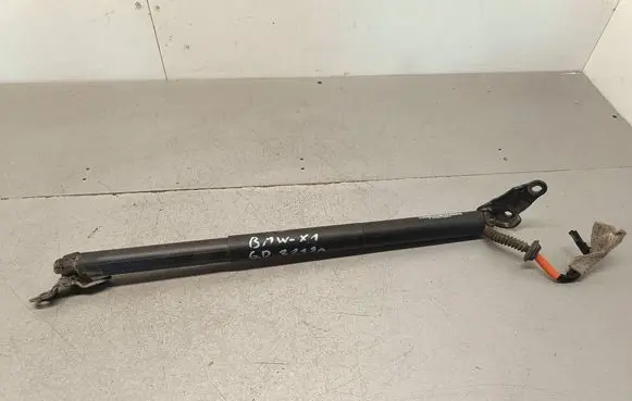 Tailgate/trunk strut/damper