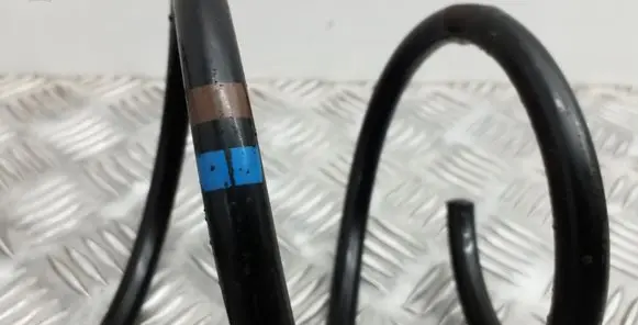 Front coil spring