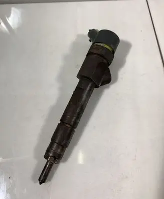 Renault Megane II Fuel injector 0445110110B