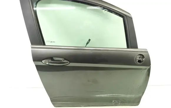 Ford B-MAX Front door