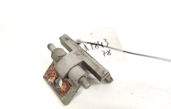 Volvo S60 Rear door lower hinge