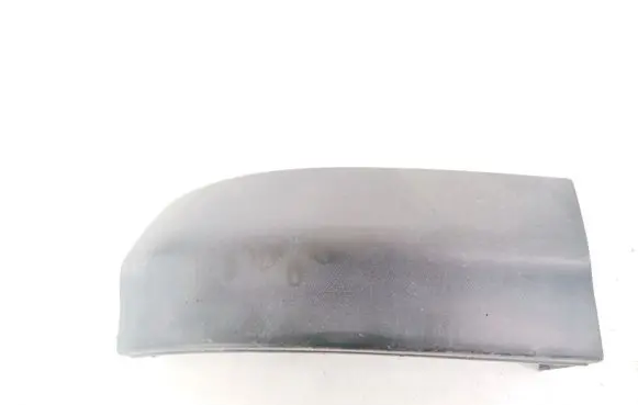 Rear/tail light trim molding