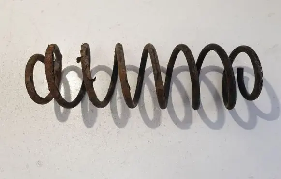 Rear coil spring