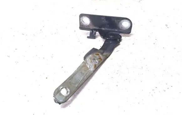 Dacia Logan I Engine bonnet/hood hinges 