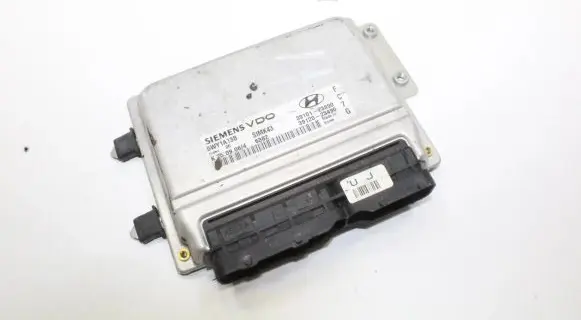 Hyundai Coupe Engine control unit/module 3910123890 5WY1A13B