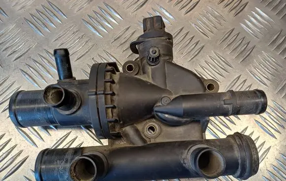 Thermostat/thermostat housing